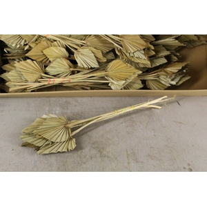 DF Palm Spear Small  Natural