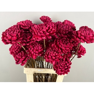 Stick Shola Artichoke Ø12 Red