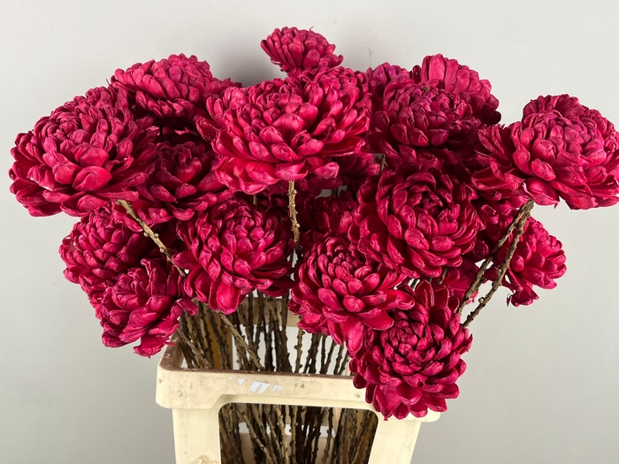 <h4>Stick Shola Artichoke Ø12 Red</h4>