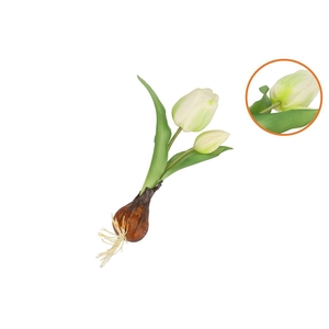 Silk Tulip Bulb White 25cm Nm