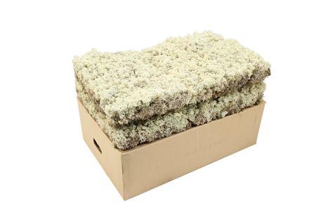 <h4>/MOS IJSLANDS MOS HARD DOOS</h4>