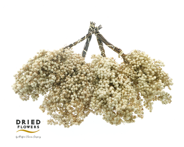 <h4>DRIED BLEACHED PEPPER BERRIES*</h4>