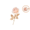 Silk Rose Goldie Cream 75cm