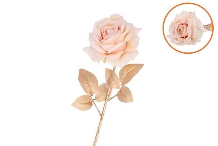 Silk Rose Goldie Cream 75cm