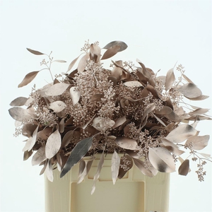 Euca Klb Populus Bes Champagne 300gr