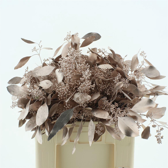 <h4>Euca Klb Populus Bes Champagne 300gr</h4>