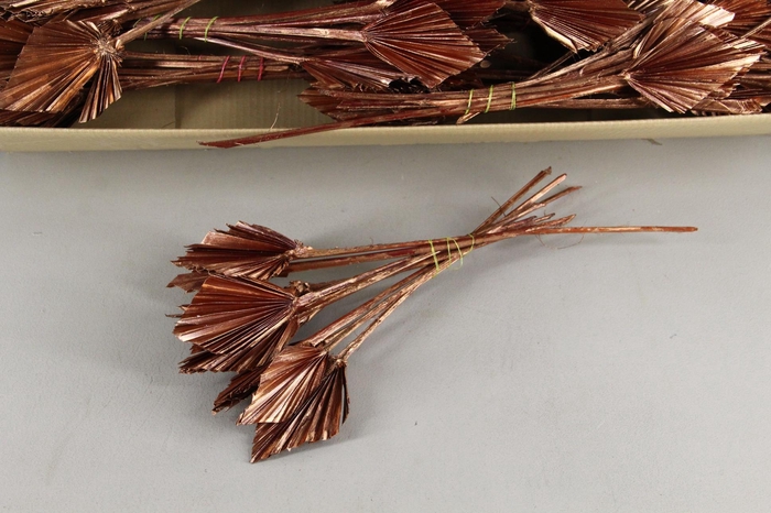 <h4>DF Palm Spear Small Copper Red</h4>