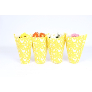 Gerbera gemengd 2+bl 12cm in gele kraft Paashoes