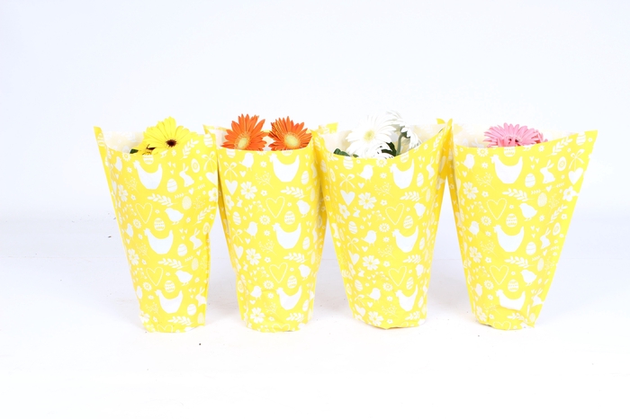 <h4>Gerbera gemengd 2+bl 12cm in gele kraft Paashoes</h4>