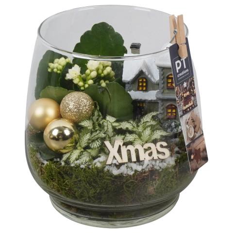 <h4>PTCHG5746 Arrangementen Kerst</h4>