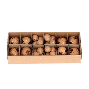 Egg Combi 8 Chicken 24 Quail L28w11h7