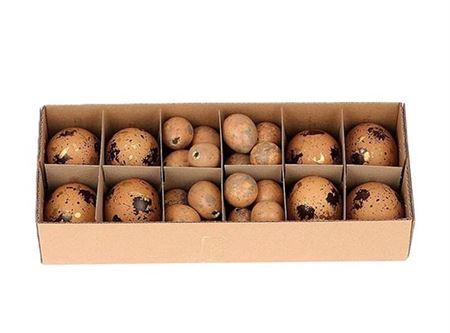 <h4>Egg Combi 8 Chicken 24 Quail L28w11h7</h4>