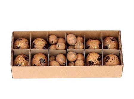 <h4>Egg Combi 8 Chicken 24 Quail Pastel</h4>