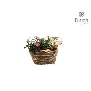 Mand zeegras ovaal met arrangement