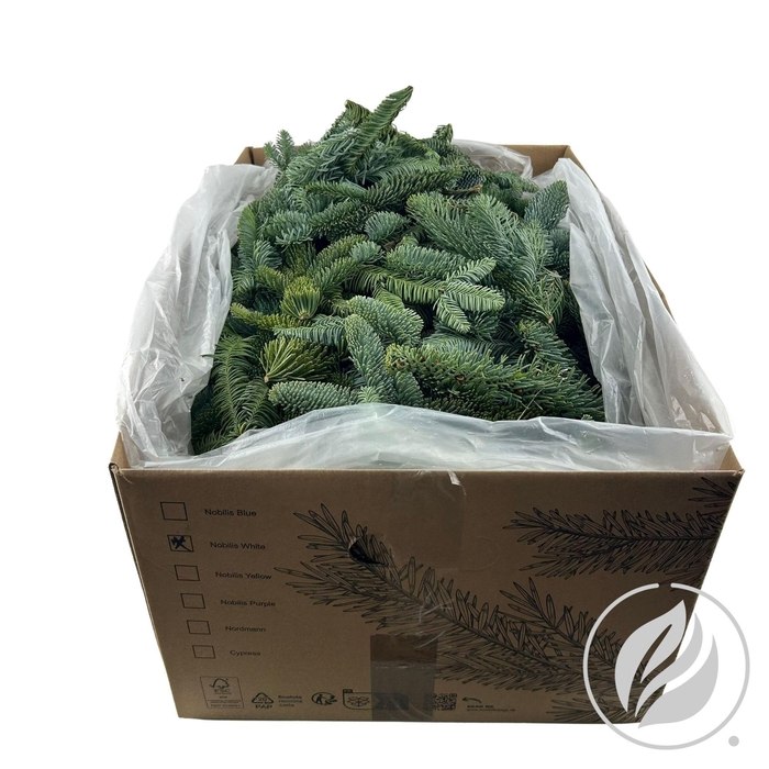 <h4>ABIES NOB BLAUW KILO</h4>