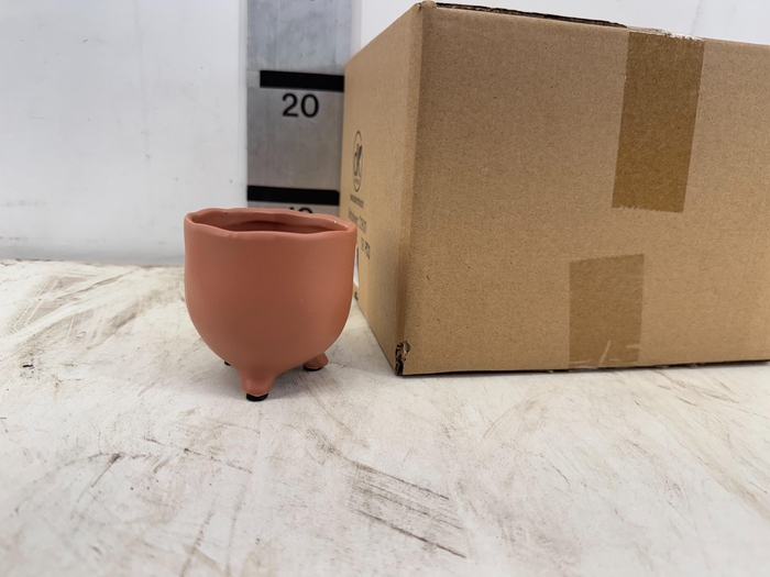 <h4>HUIS EN TUINDECO H%</h4>