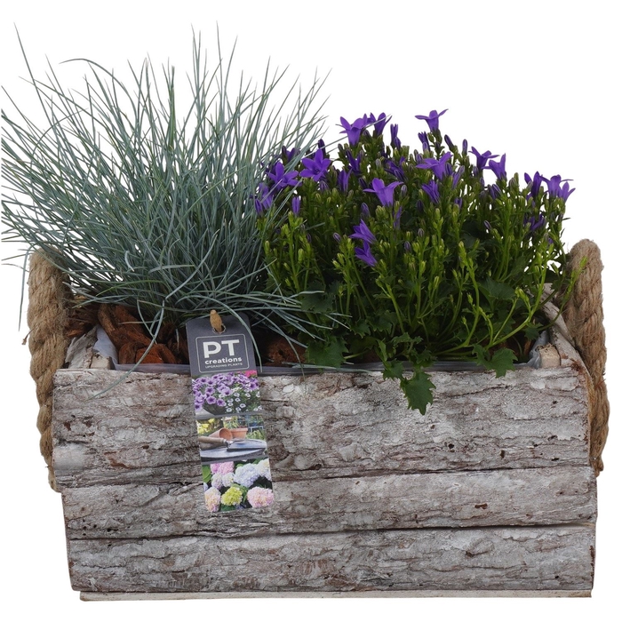 <h4>Arr.   Tuinplanten L%</h4>