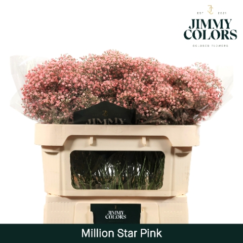 <h4>Gyps Million Star L70 Pink</h4>