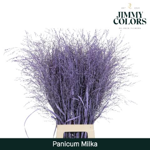 <h4>Siergras L90  Klbh. Milka</h4>