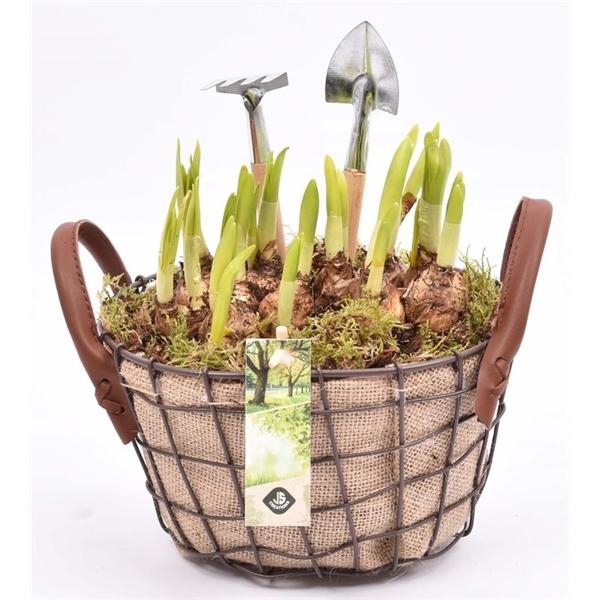 <h4>Gaasmand met jute 21x15.5cm</h4>