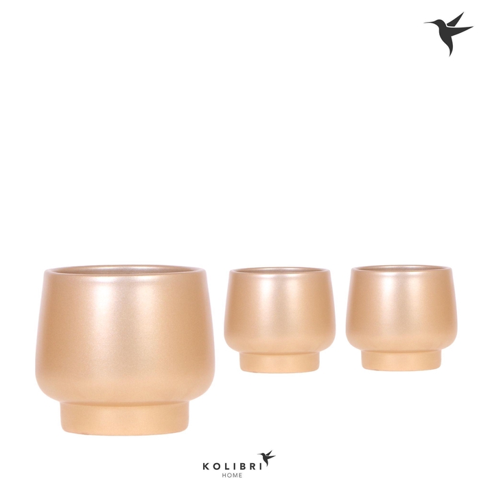 <h4>Kolibri Home Scandic pot gold</h4>