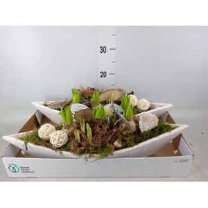 Arr.   Bol/Knolgewas L%