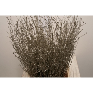 Berk 70cm Champagne Pbs