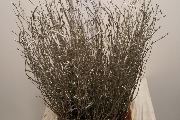 <h4>Berk 60cm Champagne</h4>