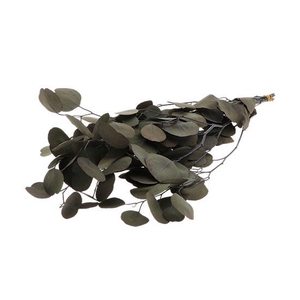 Bunch Euca Populus Pres.150g