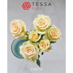 R TR CRETA Tessa
