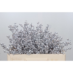 Ilex paint Silver