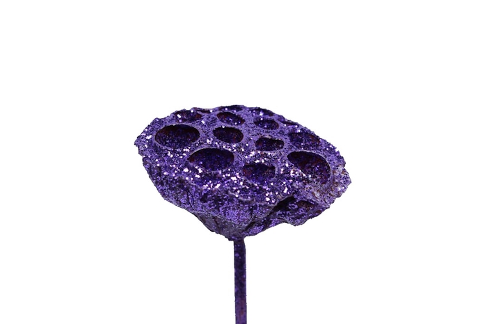 Lotus 5-7cm on stem Purple + Glitter