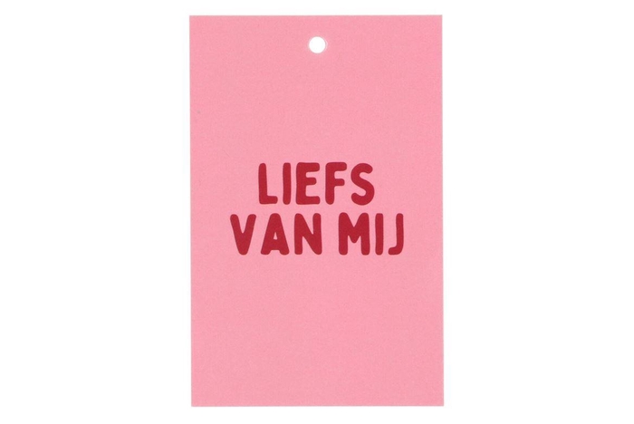 <h4>Gift Bouquet Card Liefs Van Mij Pink 6x9cm P/25</h4>