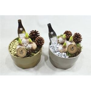 2414 Ker Goud/zilver Hyac