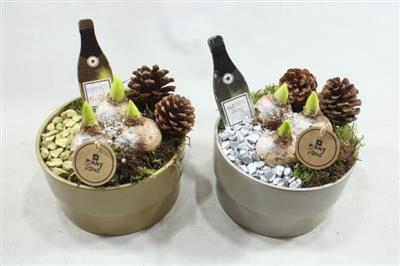 <h4>2414 KER GOUD/ZILVER HYAC</h4>