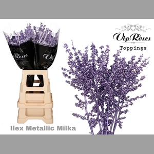 ILEX METALLIC MILKA 80 cm