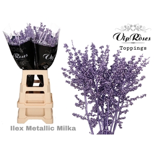 ILEX METALLIC MILKA 80 cm