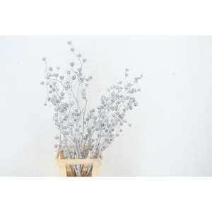 DF Lavatera Bs Silver 120g