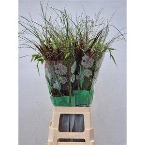 Siergr Gem Fust 80 Cm