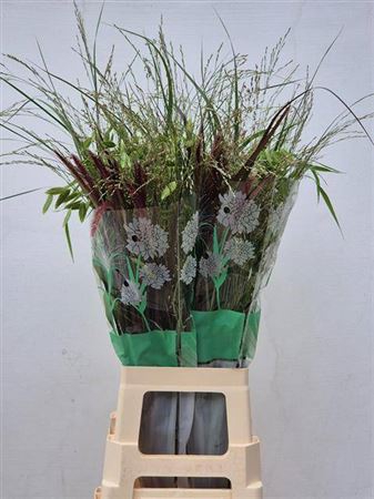 <h4>Siergr Gem Fust 80 Cm</h4>