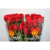 R GR NINA Welyflor