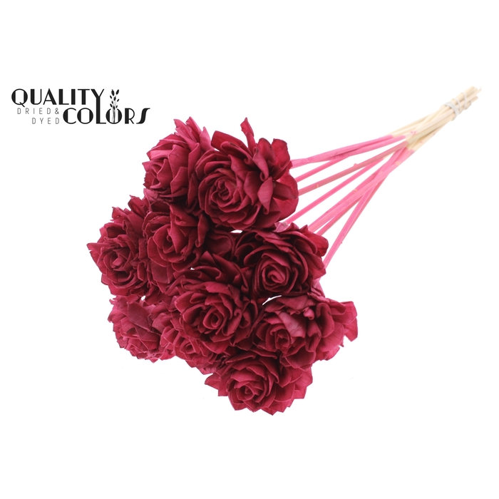 <h4>Shola Dahlia 6cm on stem Burgundy</h4>