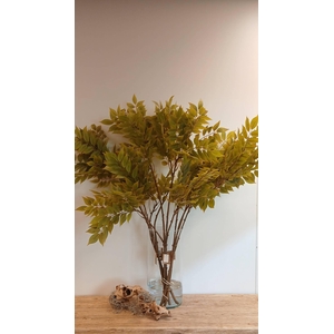 BRANCH SAMBUCUS LEAF L110 green