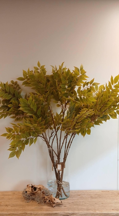 <h4>BRANCH SAMBUCUS LEAF L110 green</h4>