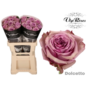 R GR DOLCETTO!