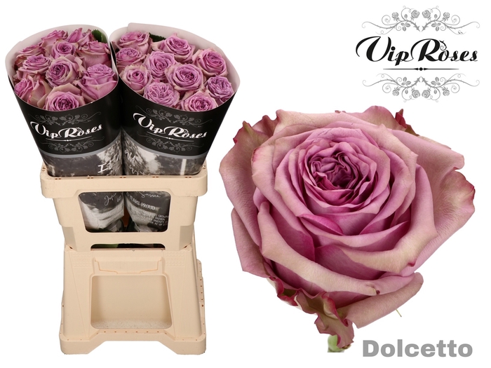 R GR DOLCETTO!