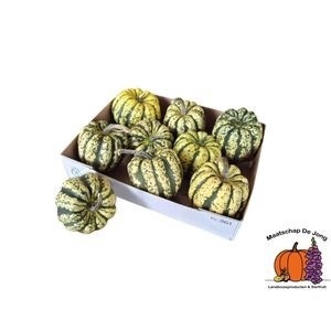 <h4>CUC SWEET DUMPLING</h4>