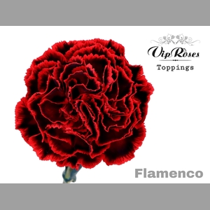 DI ST FLAMENCO