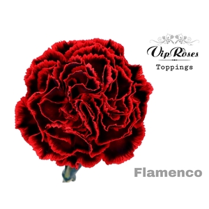 Di St Vip Flamenco