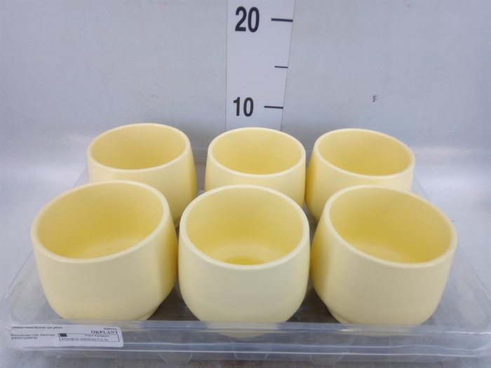 <h4>Pot   ...Keramische H%</h4>